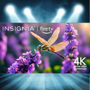 INSIGNIA 65" 4K SMART TV